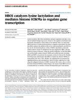 HBO1 catalyzes lysine lactylation and mediates histone H3K9la to regulate gene transcription