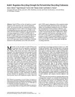 Rab11 Regulates Recycling through the Pericentriolar Recycling Endosome