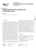 KDIGO Clinical Practice Guidelines for Acute Kidney Injury