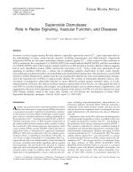 Superoxide Dismutases: Role in Redox Signaling, Vascular Function, and Diseases