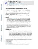 The ClusPro web server for protein-protein docking