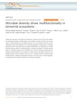 Microbial diversity drives multifunctionality in terrestrial ecosystems