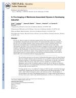 In Vivo Imaging of Membrane-Associated Glycans in Developing Zebrafish