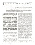 Phosphatidylinositol 3-Kinase/AKT-mediated Activation of Estrogen Receptor α: A NEW MODEL FOR ANTI-ESTROGEN RESISTANCE