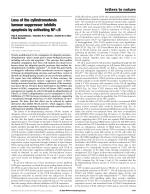 Loss of the cylindromatosis tumour suppressor inhibits apoptosis by activating NF-κB