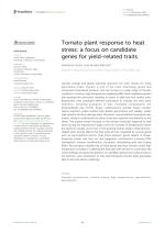 Tomato plant response to heat stress: a focus on candidate genes for yield-related traits