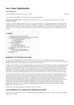 Ant Colony Optimization