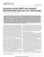 Structure of the TRPV1 ion channel determined by electron cryo-microscopy