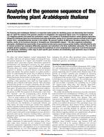 Analysis of the genome sequence of the flowering plant Arabidopsis thaliana