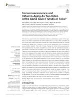 Immunosenescence and Inflamm-Aging As Two Sides of the Same Coin: Friends or Foes?