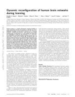 Dynamic reconfiguration of human brain networks during learning