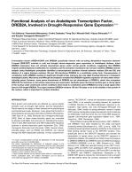 Functional Analysis of an Arabidopsis Transcription Factor, DREB2A, Involved in Drought-Responsive Gene Expression