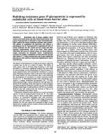 Multidrug-resistance gene (P-glycoprotein) is expressed by endothelial cells at blood–brain barrier sites