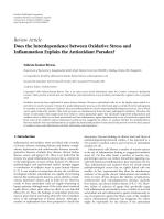 Does the Interdependence between Oxidative Stress and Inflammation Explain the Antioxidant Paradox?