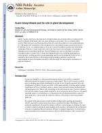 Auxin biosynthesis and its role in plant development