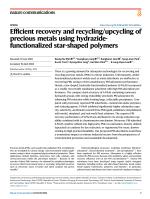 Efficient recovery and recycling/upcycling of precious metals using hydrazide-functionalized star-shaped polymers