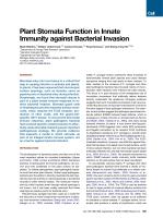 Plant Stomata Function in Innate Immunity against Bacterial Invasion