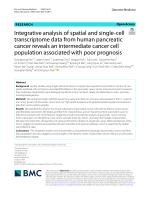 Integrative analysis of spatial and single-cell transcriptome data from human pancreatic cancer reveals an intermediate cancer cell population associated with poor prognosis