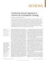 Interfering with pH regulation in tumours as a therapeutic strategy