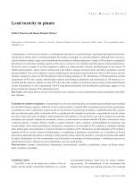 Lead toxicity in plants