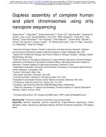 Gapless assembly of complete human and plant chromosomes using only nanopore sequencing