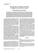 The eyes have it! Reflexive orienting is triggered by nonpredictive gaze