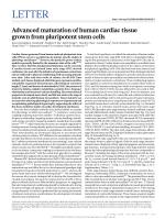 Advanced maturation of human cardiac tissue grown from pluripotent stem cells