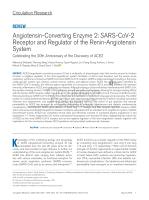 Angiotensin-Converting Enzyme 2: SARS-CoV-2 Receptor and Regulator of the Renin-Angiotensin System