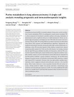 Purine metabolism in lung adenocarcinoma: A single-cell analysis revealing prognostic and immunotherapeutic insights