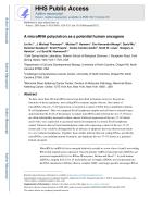 A microRNA polycistron as a potential human oncogene