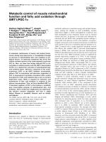 Metabolic control of muscle mitochondrial function and fatty acid oxidation through SIRT1/PGC-1α