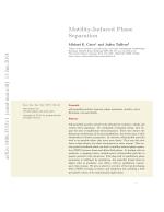Motility-Induced Phase Separation