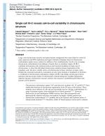 Single cell Hi-C reveals cell-to-cell variability in chromosome structure