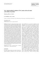 Free radical-mediated oxidation of free amino acids and amino acid residues in proteins