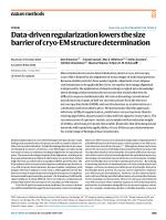 Data-driven regularization lowers the size barrier of cryo-EM structure determination