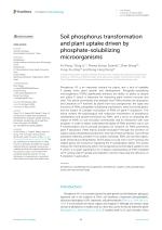 Soil phosphorus transformation and plant uptake driven by phosphate-solubilizing microorganisms