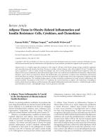 Adipose Tissue in Obesity-Related Inflammation and Insulin Resistance: Cells, Cytokines, and Chemokines