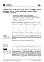 The Relationship between Circadian Rhythm and Cancer Disease