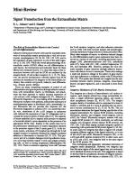 Signal Transduction from the Extracellular Matrix