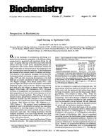 Lipid Sorting in Epithelial Cells