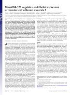 MicroRNA-126 regulates endothelial expression of vascular cell adhesion molecule 1
