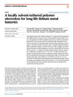 A locally solvent-tethered polymer electrolyte for long-life lithium metal batteries