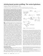 Activity-based protein profiling: The serine hydrolases