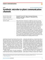 Synthetic microbe-to-plant communication channels