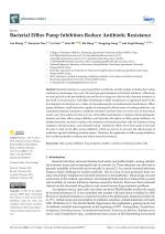 Bacterial Efflux Pump Inhibitors Reduce Antibiotic Resistance
