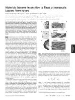 Materials become insensitive to flaws at nanoscale: Lessons from nature
