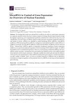 MicroRNA in Control of Gene Expression: An Overview of Nuclear Functions