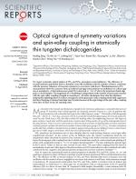 Optical signature of symmetry variations and spin-valley coupling in atomically thin tungsten dichalcogenides