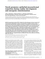 Notch promotes epithelial-mesenchymal transition during cardiac development and oncogenic transformation