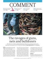 The ravages of guns, nets and bulldozers